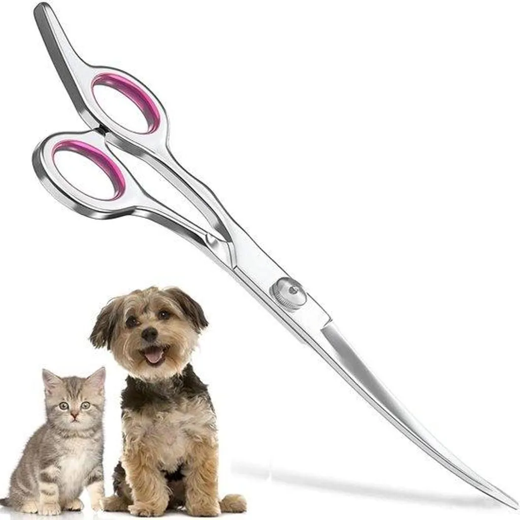 Ciseaux chien 15 cm courbés en inox pour éviter les blessures de coupe
