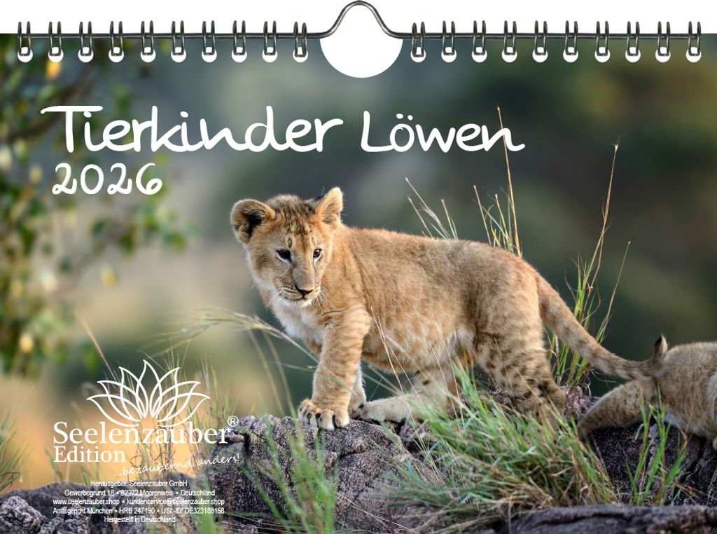 Tierkinder Löwen DIN A5 Kalender für 2026 Löwenbabys - Seelenzauber