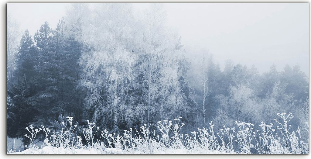 Coloray Spritzschutz aus Glas 100x50 Wandkunst Küchenrückwand Foto Bild Winter Bäume Landschafts