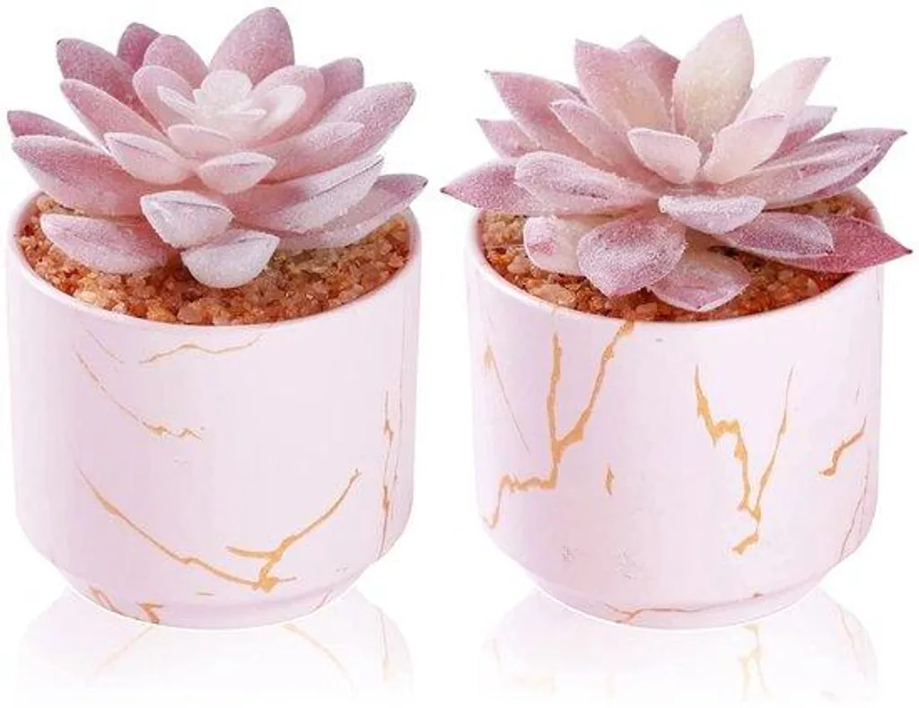 Plantes artificielles roses pour décoration bureau et salon - Pot céramique