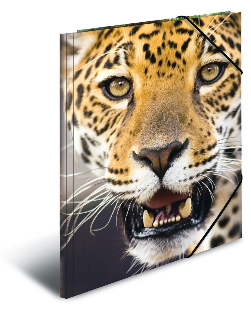 HERMA Sammelmappe A4 PP - Leopard, A4, Polypropylen (PP), Produktbild 