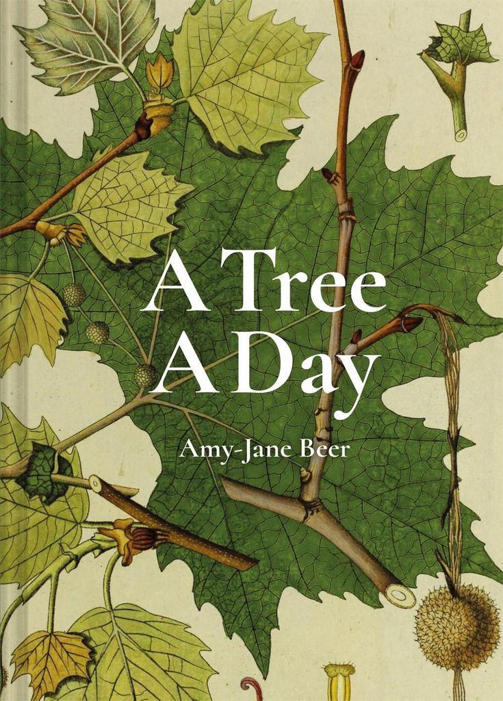Beer, A: Tree A Day