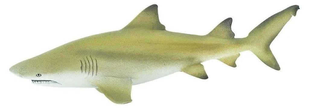 Safari Ltd Lemon Shark Figur Gelb From 3 Years Gelb From 3 Produktbild 