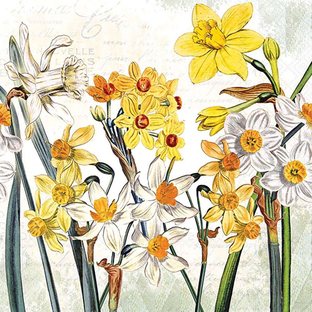 Servietten 33x33 cm - Narcissus