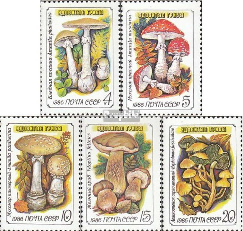 Briefmarken Sowjetunion 1986 Mi 5603v-5607v (kompl.Ausg.) postfrisch Giftpilze