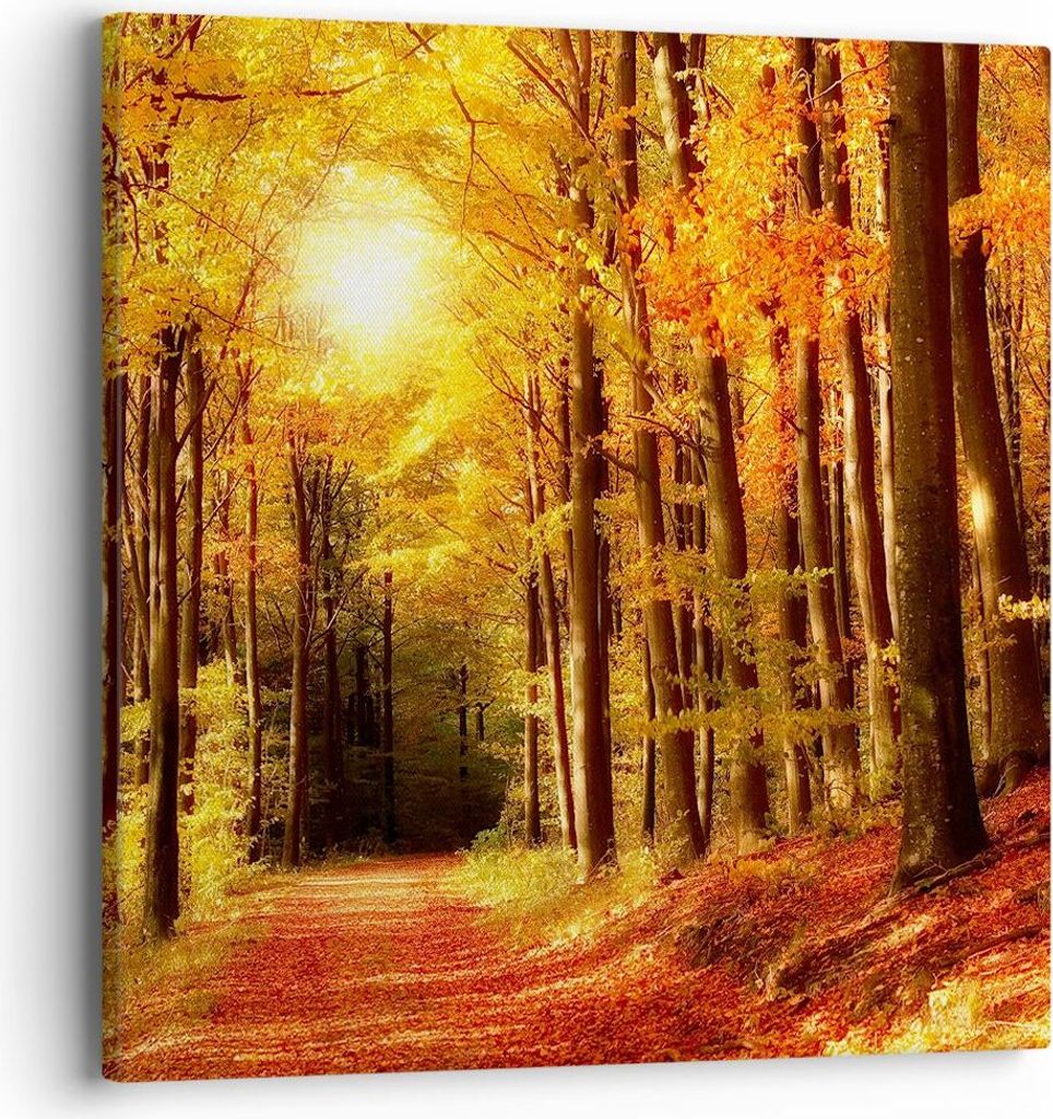 Bild auf Leinwand - Leinwandbild - Pfad Blätter Wald - 40x40cm - Wand Bild - Wanddeko - Wandbilder - Leinwanddruck - Bilder - Kunstdruck - Wanddek...