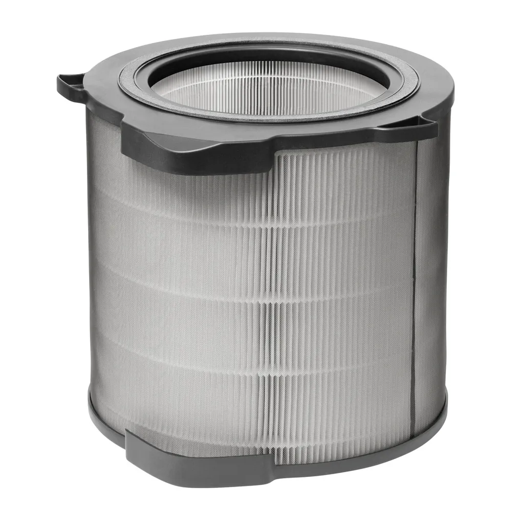 Filtre HEPA AEG AFDCAR6 : assainisseur air bactérien pour AX9-604