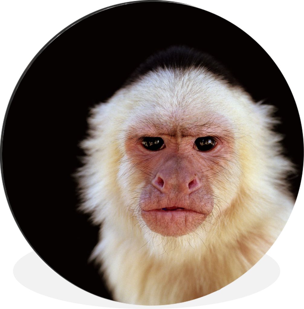 MuchoWow - Wand Bild - Wohnzimmer - Runde Bilder - Alubilder - Kunst für zu Hause - Aluminium - Wanddekoration