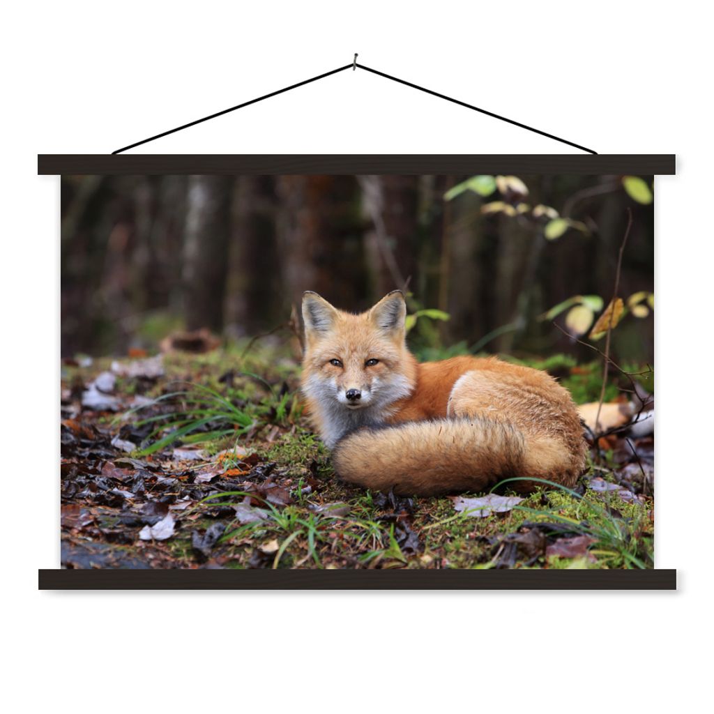MuchoWow® Textilposter Fuchs - Wald - Tier 90x60 cm mit Produktbild 