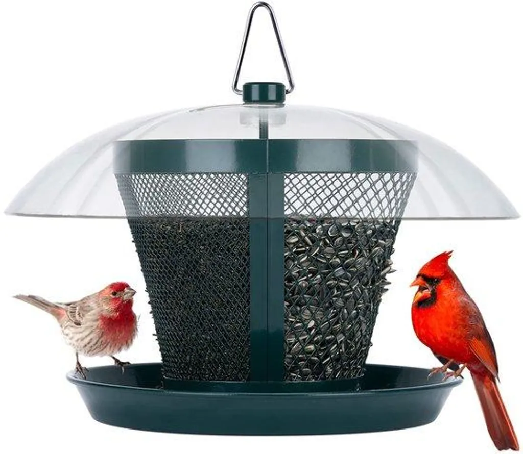 Mangeoire Suspendue pour Oiseaux Sauvages avec Dôme de Protection 1,8kg