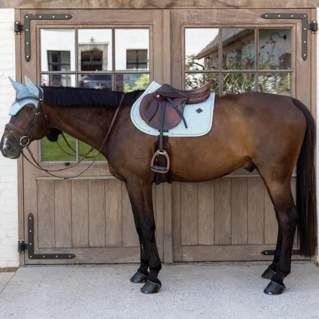 Sottosella Kentucky Velvet Pony Azzurro - Collezione Jumping Deluxe - 8