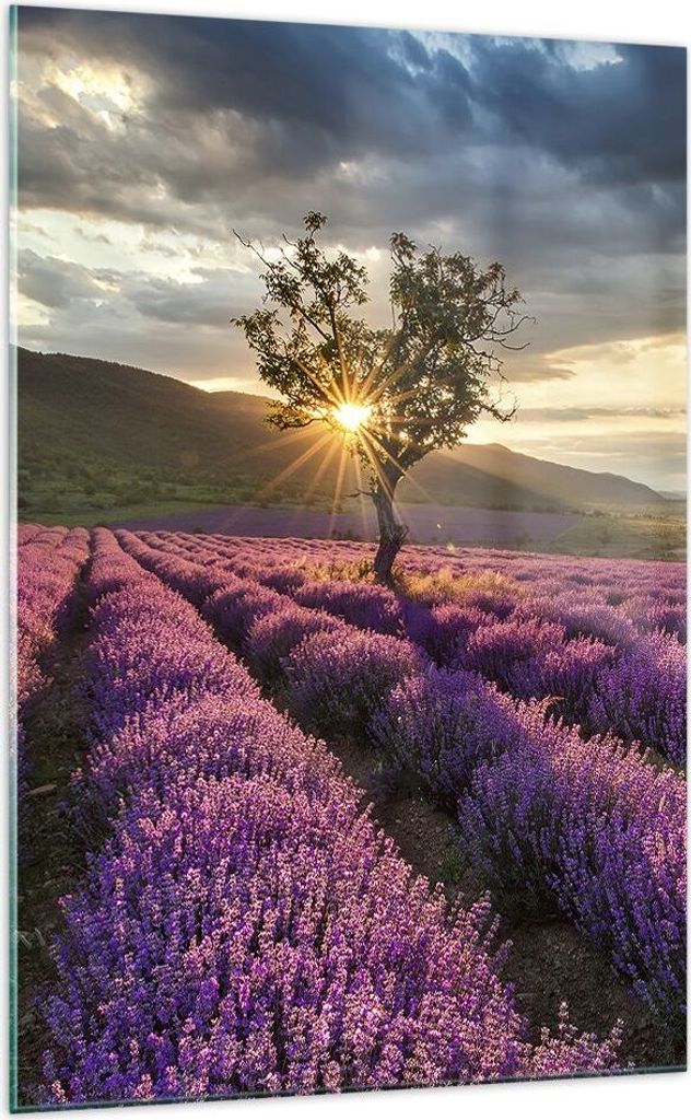 Bilder auf glas - Einteilig - Lavendel Berge Feld - 70x100cm - Glasbilder - Wandbilder - Bilder - zum Aufhängen bereit - Wanddekoration aus Glas -...