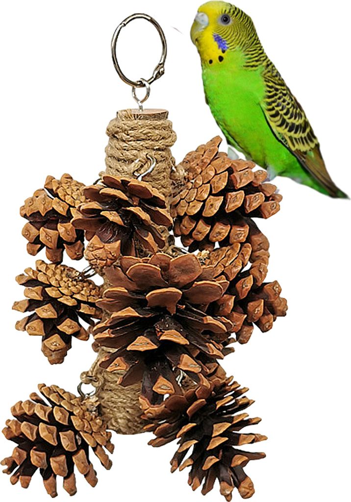 20cm Papageienständer Aus Holz Mit Kauspielzeug, Produktbild 