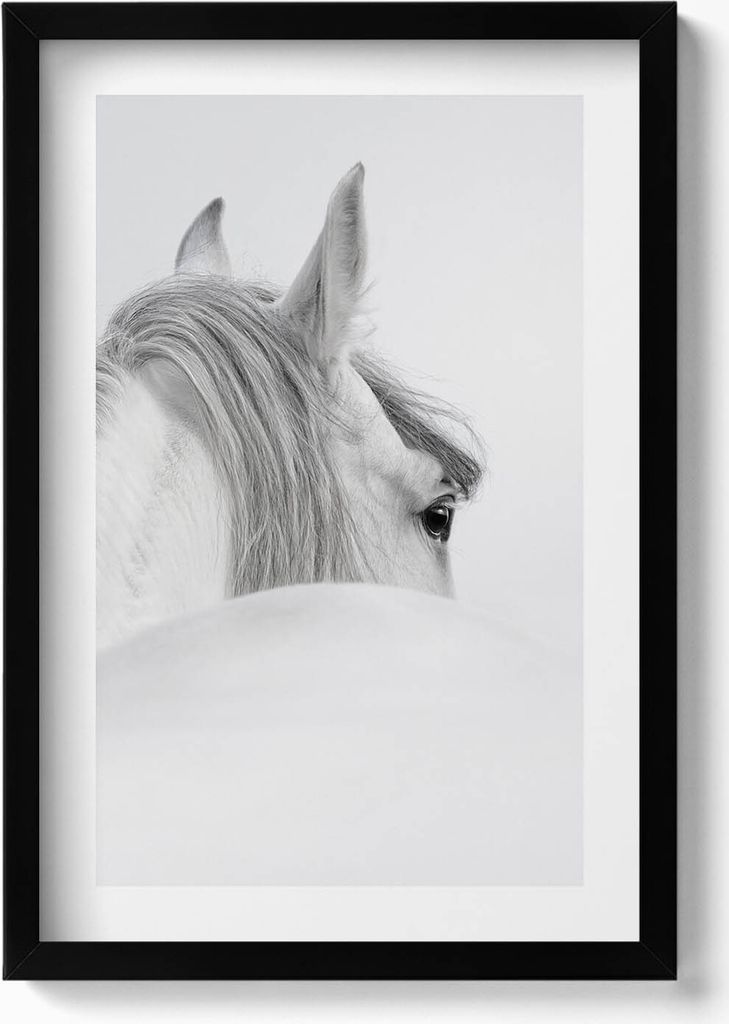 Andalusisches Pferd im Nebel– Wandbild mit Rahmen – Gerahmtes Bild – Wanddekoration – 40x60 cm – Schwarz