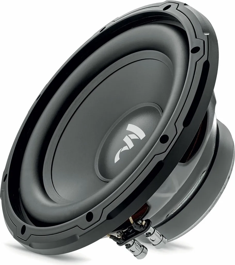 Haut-parleur de Grave Focal Sub 10 Dual 25 cm Double Bobine Haute Qualité