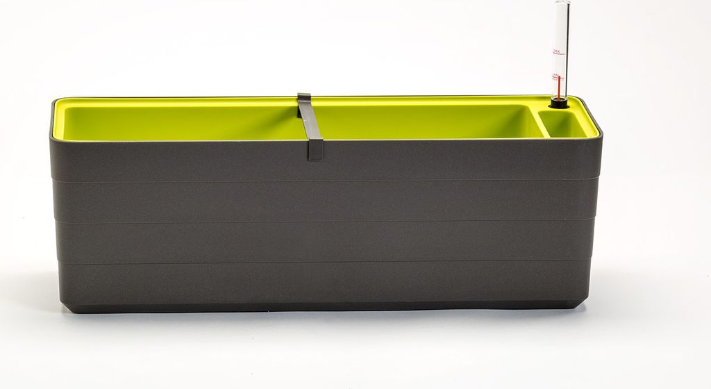 Truhlík Berberis 60 cm - sivá + zelená Obrázok produktu 