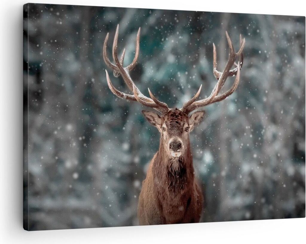 Bild auf Leinwand - Leinwandbild - Einteilig - Hirsch Hirsch Winter - 70x50cm - Wand Bild - Wanddeko - Wandbilder - Leinwanddruck - Bilder - Wandde...