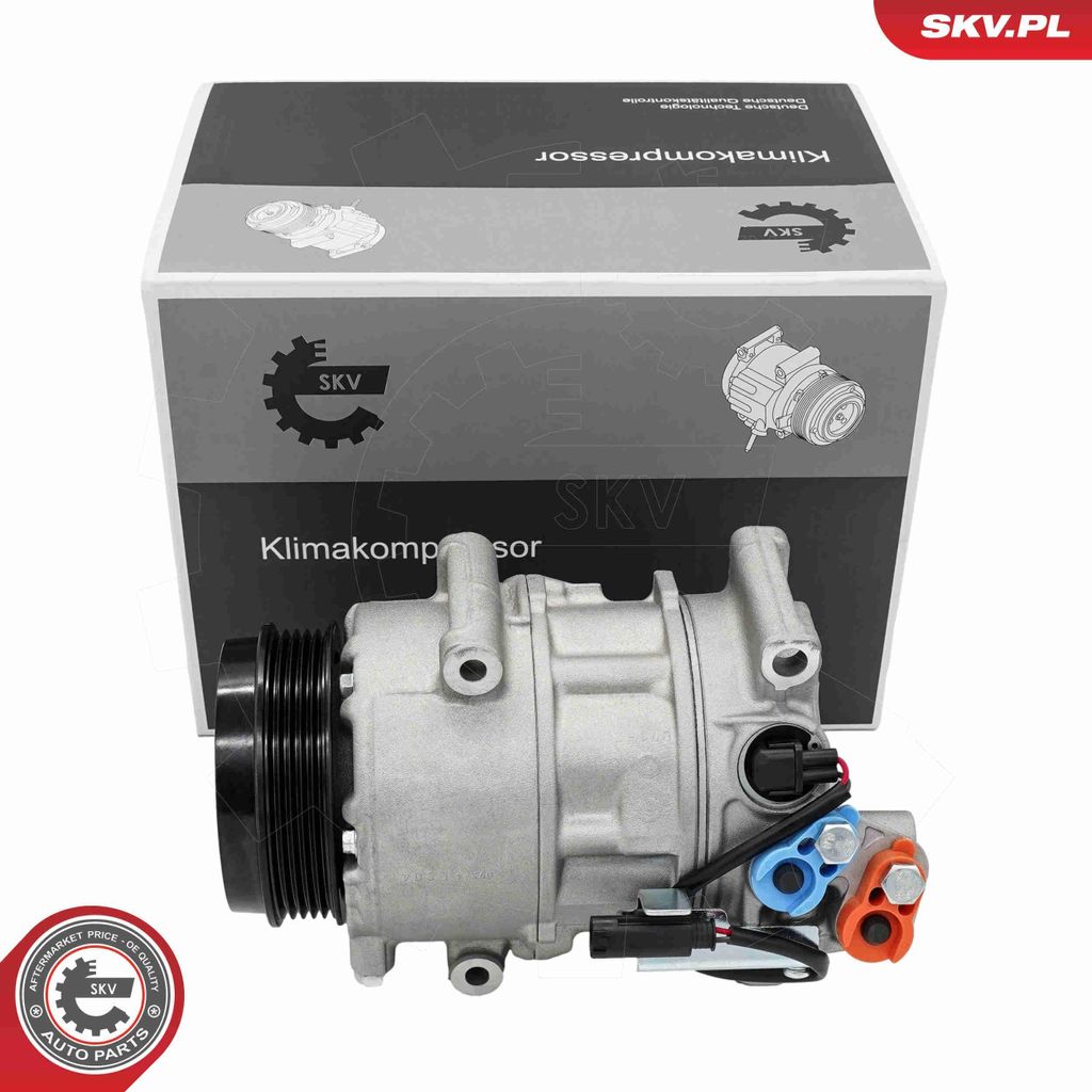 ESEN SKV 84SKV049 Klimatizační kompresor PAG 46 vhodný pro Obrázek produktu 