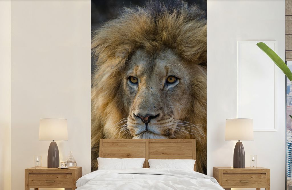 MuchoWow Fototapete für Wohnzimmer oder Schlafzimmer Wandtapete Vinyl Motivtapete Löwe - Porträt - Wild - 120x240 cm - Hintergrundbild