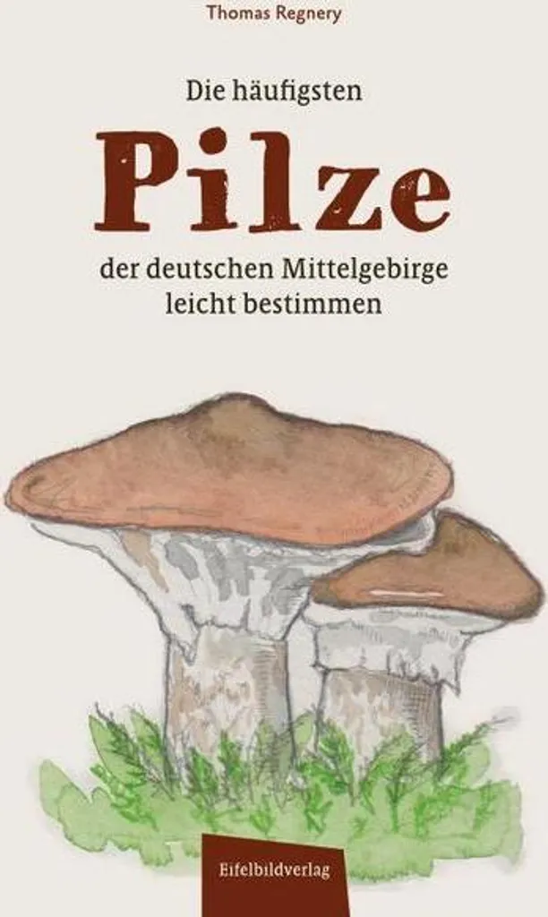 Comment Identifier les Champignons en Allemagne ? Guide Complet Facile