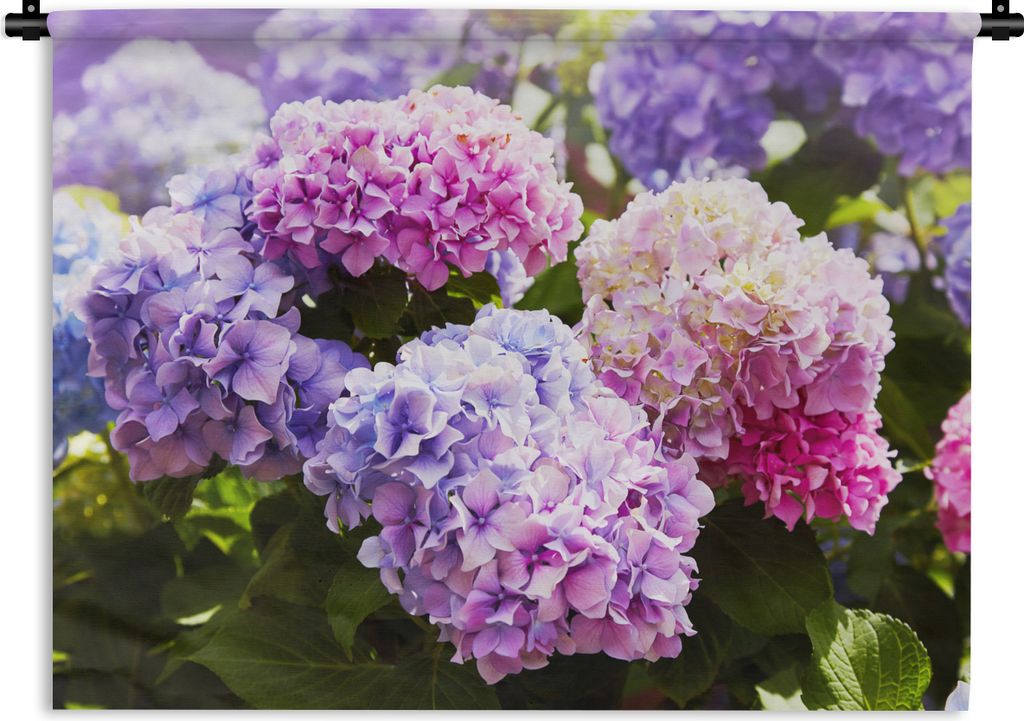 MuchoWow Wandteppich Wandbehang Blumen - Hortensie - Rosa - Blätter - Sonne 90x67.5 cm Tapisserie Dekoration Wandtuch - Fototeppich - Wand-Skulp...