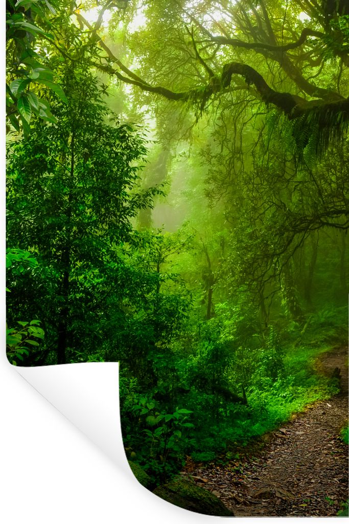 MuchoWow Wandtattoo Wandsticker Wandaufkleber Landschaft - Dschungel - Tropisch - Sonne - Grün 80x120 cm Selbstklebend und Repositionierbar - Re...