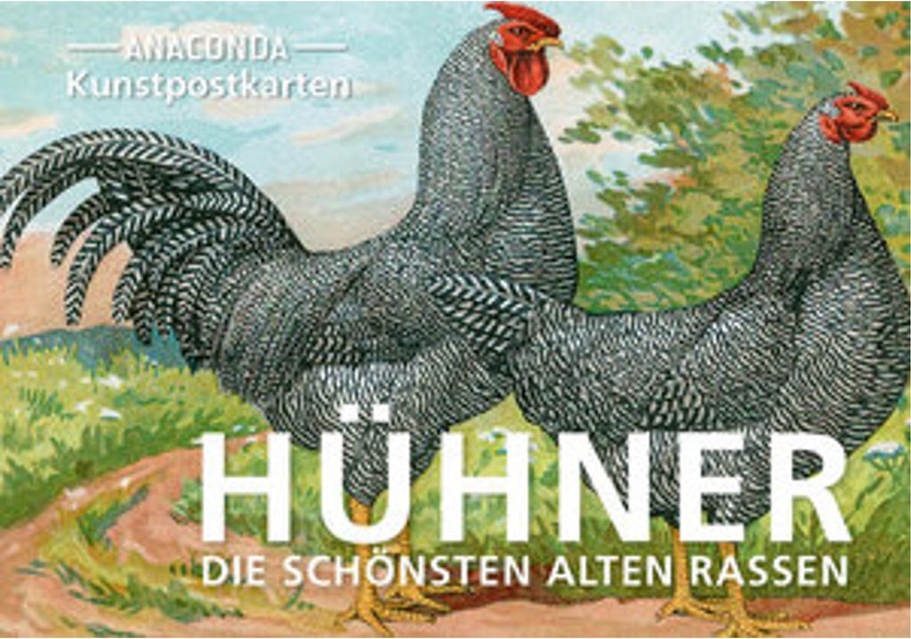 Postkarten-Set Hühner Image du produit 
