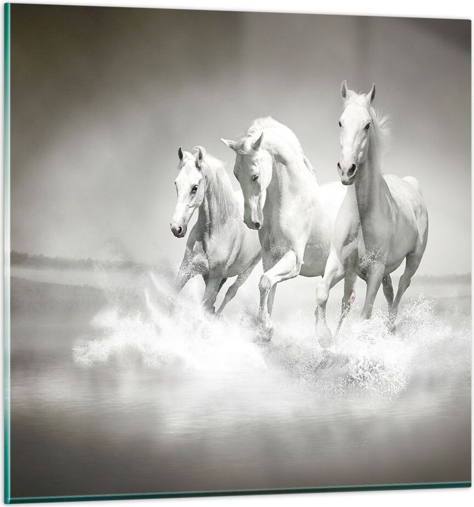 Bilder auf glas - Bauernhof pferde galopp freiheit - 50x50cm - Glasbilder - Wandbilder - Kunstdruck - zum Aufhängen bereit - Wanddekoration aus Gl...