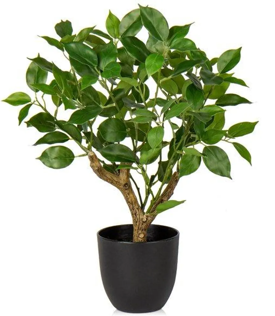 Ficus artificiel 43 cm noir pour rebord de fenêtre d'appartement citadin