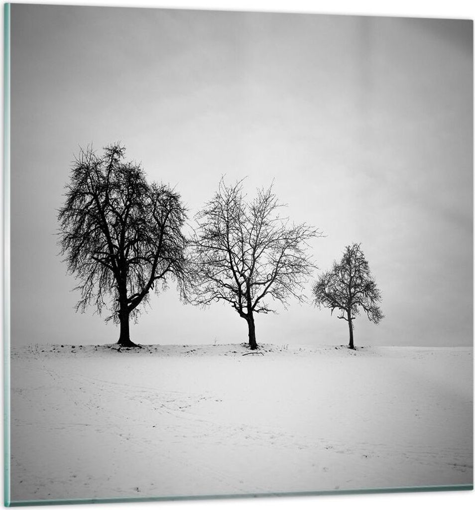 Bilder auf glas - Einteilig - Winter Bäume Schnee - 40x40cm - Glasbilder - Wandbilder - Bilder - zum Aufhängen bereit - Wanddekoration aus Glas -...