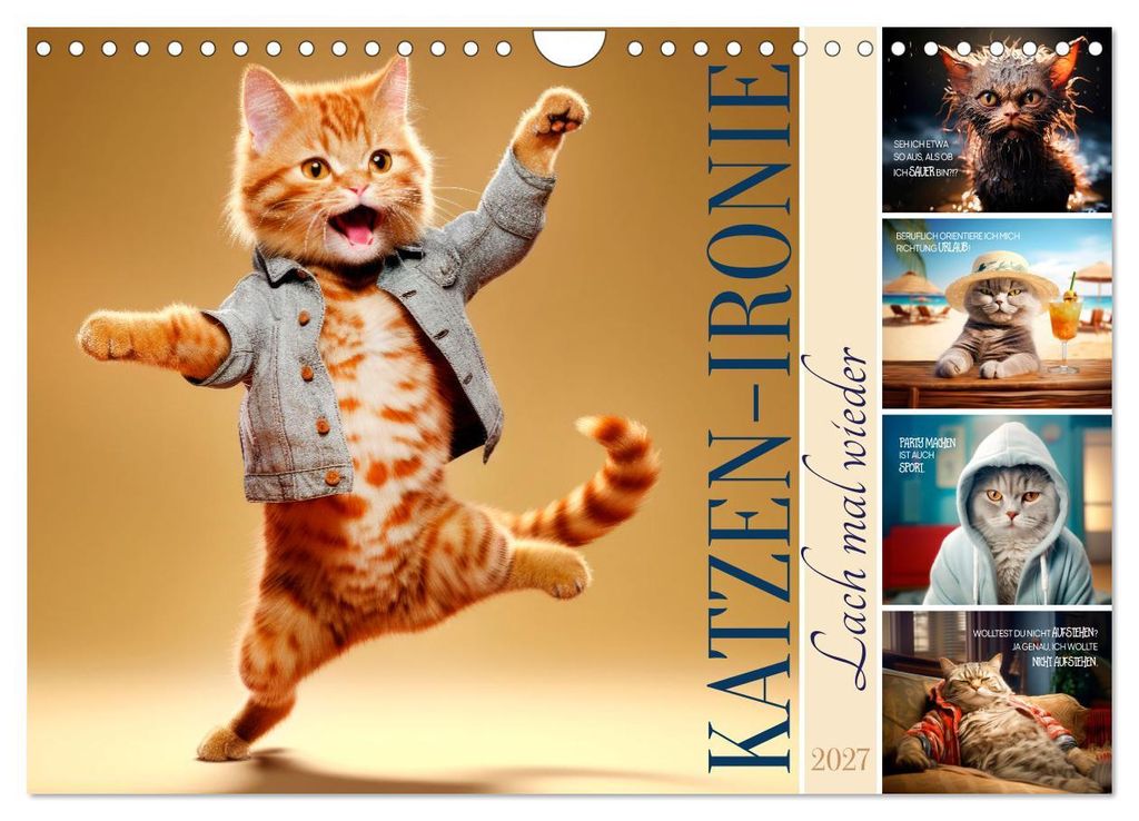 KATZEN-IRONIE Lach mal wieder (Wandkalender 2027 DIN A4 quer), CALVENDO Monatskalender