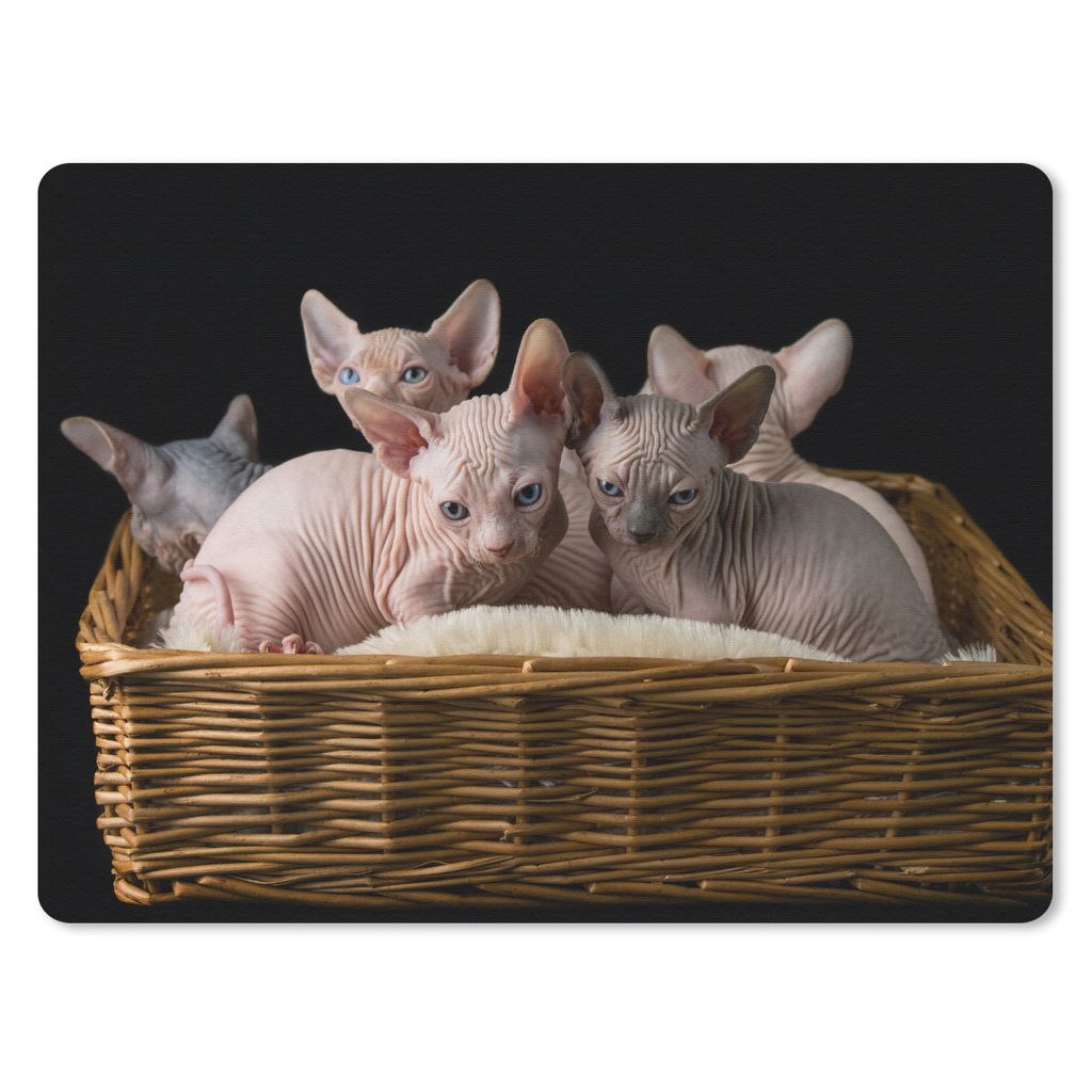 MuchoWow Mauspad Mousepad Korb voll mit Sphynx-Kätzchen 23x19 cm - Mousepads - Maus Mat - Pad - Mausunterlage - Schreibtischunterlage - Mauspad