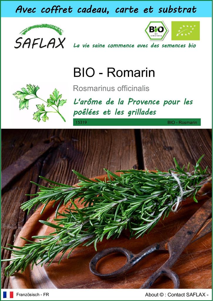 SAFLAX Ensemble-cadeau -- Romarin - 40 graines - Rosmarinus Image du produit 
