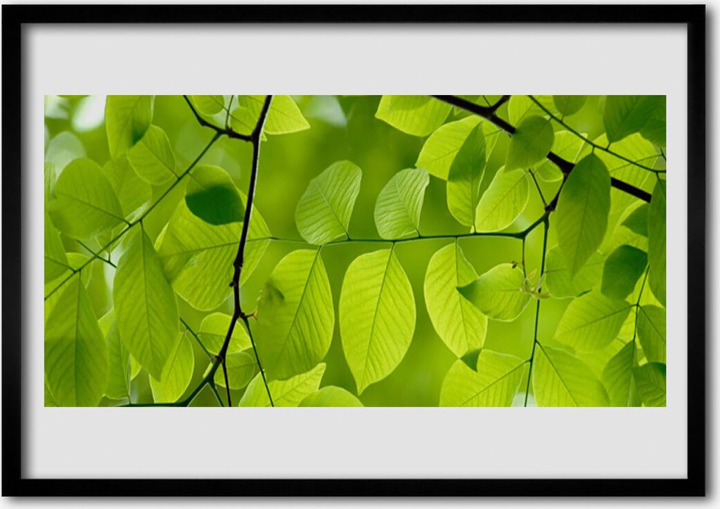 Bild 70x50 MDF-Rahmen Wandkunst Blätter Natur Pflanze