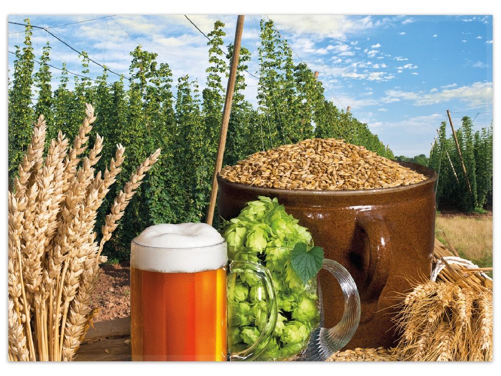 Wallario Premium Teppich, Größe 50 x 70 cm, Frisch gezapftes Bier, Hopfen und Malz