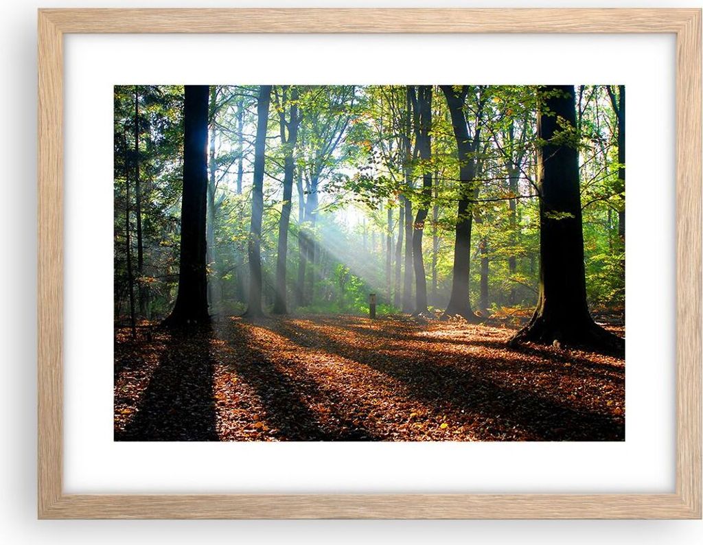 Gerahmtes Poster - Rahmen in heller Eiche - Wald Blätter Sonne - 40x30 cm - Wand Bild - Wanddeko - Wandbilder - Wandposter - Bilderrahmen - Bilder...