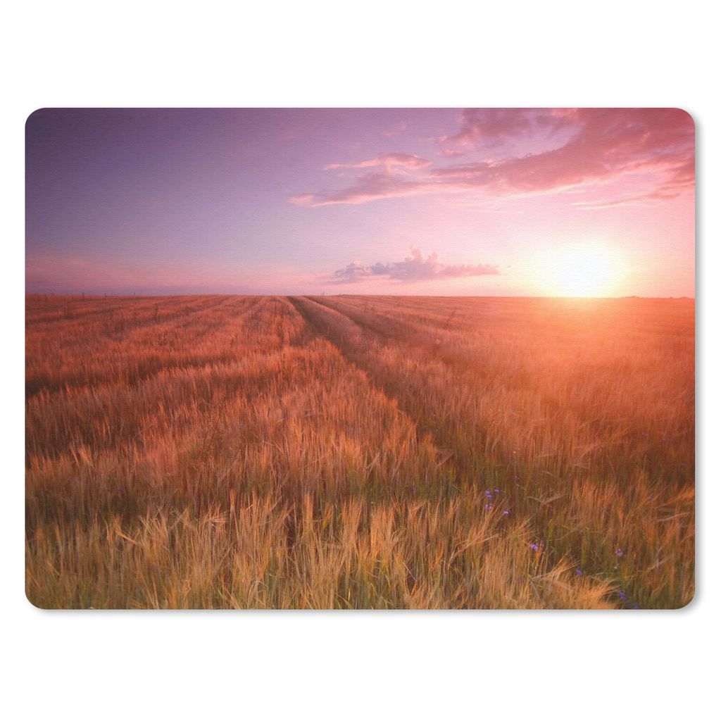 MuchoWow Mauspad Mousepad Wiese - Sonne - Abend - Landschaft 23x19 cm - Mousepads - Maus Mat - Pad - Mausunterlage - Schreibtischunterlage - Mauspad