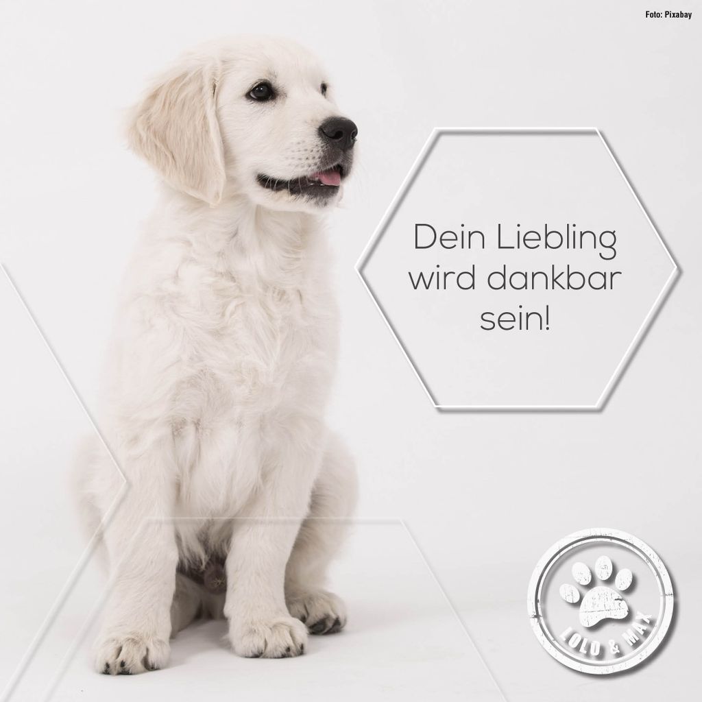 Lolo & Max - Spot On Floh- und Zeckenschutz für Hunde - bis Produktbild 4
