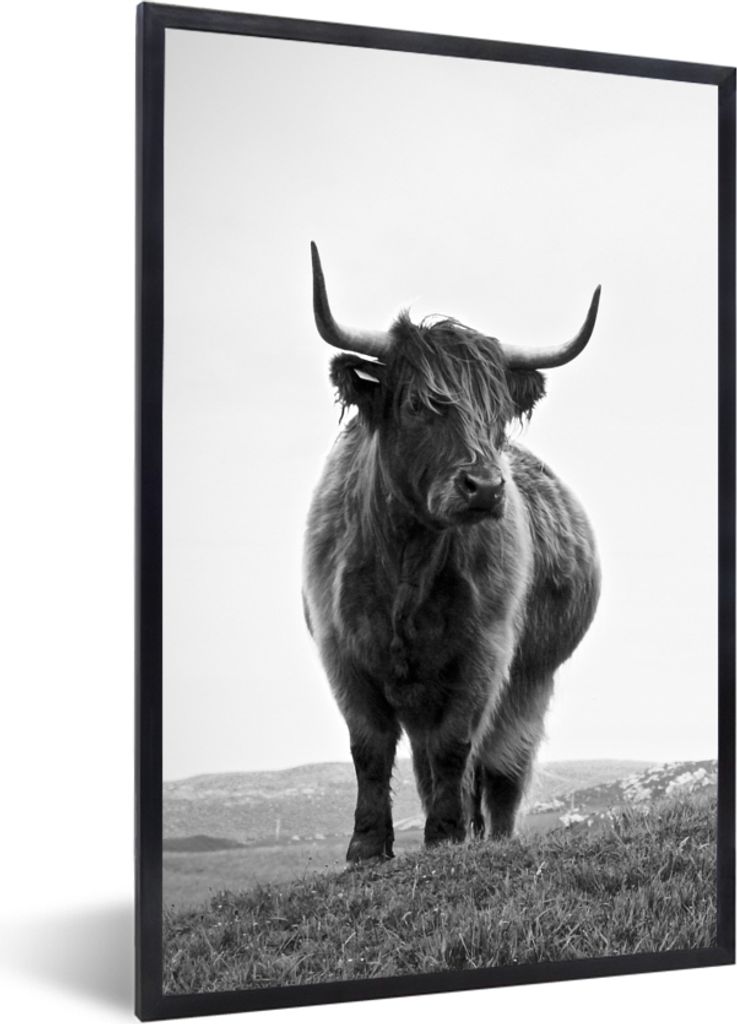MuchoWow Gerahmtes Poster Tiere - Schottische Hochlandbewohner - Schwarz und weiß - Natur - Ländlich 60x90 cm - Poster mit Schwarzem Bilderrahm...