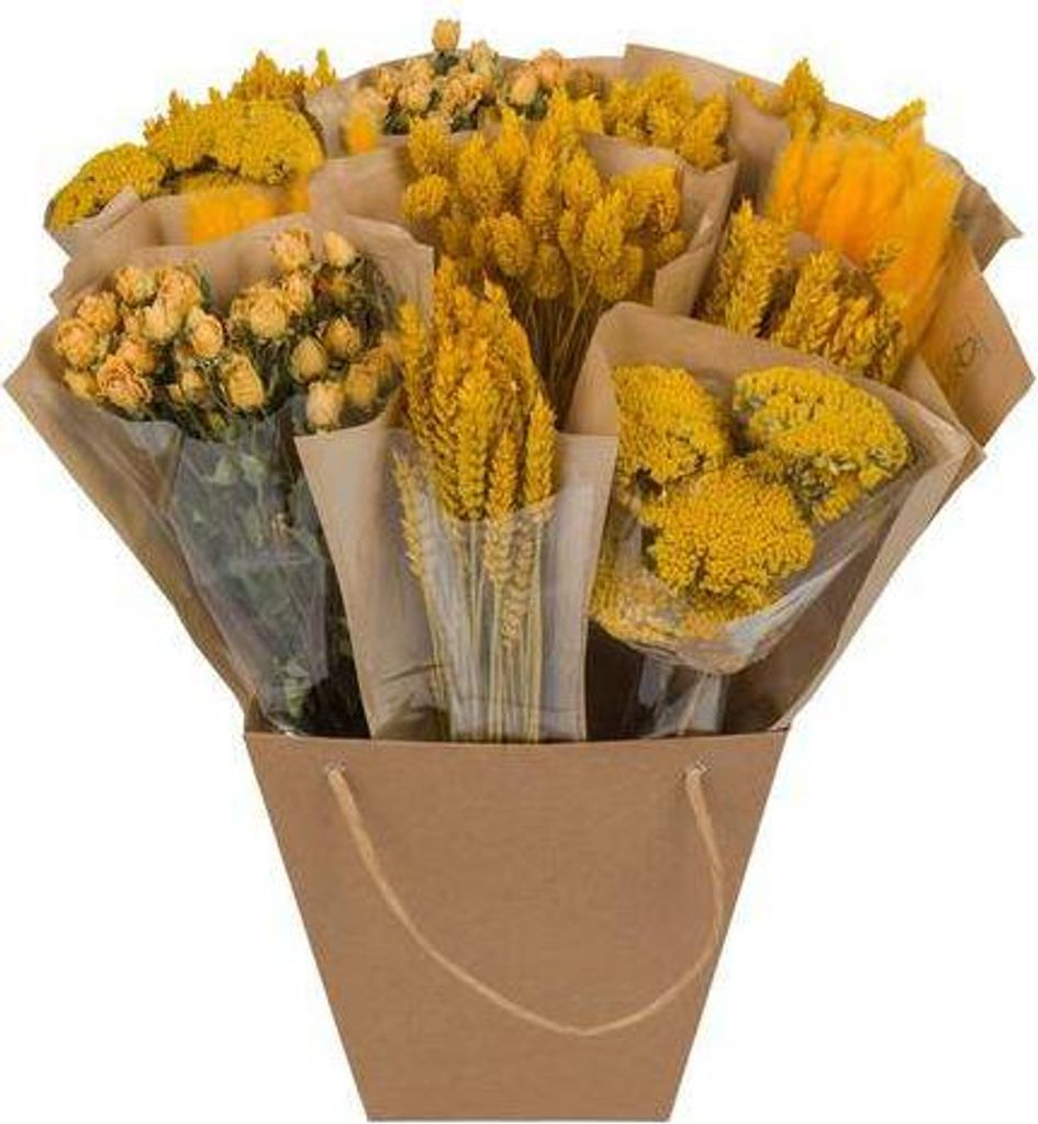 Getrocknete Blumen – Mono Mix Gelb – Handgebundener Strauß – ca. 50cm hoch – natürliche Dekoration für Vasen und Wohnräume