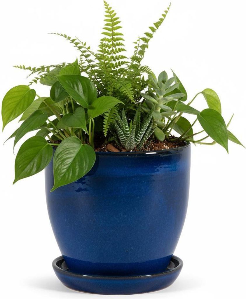 Fioriera modello "EggPot" 38 cm in Vetroceramica blu reale Immagine del prodotto 