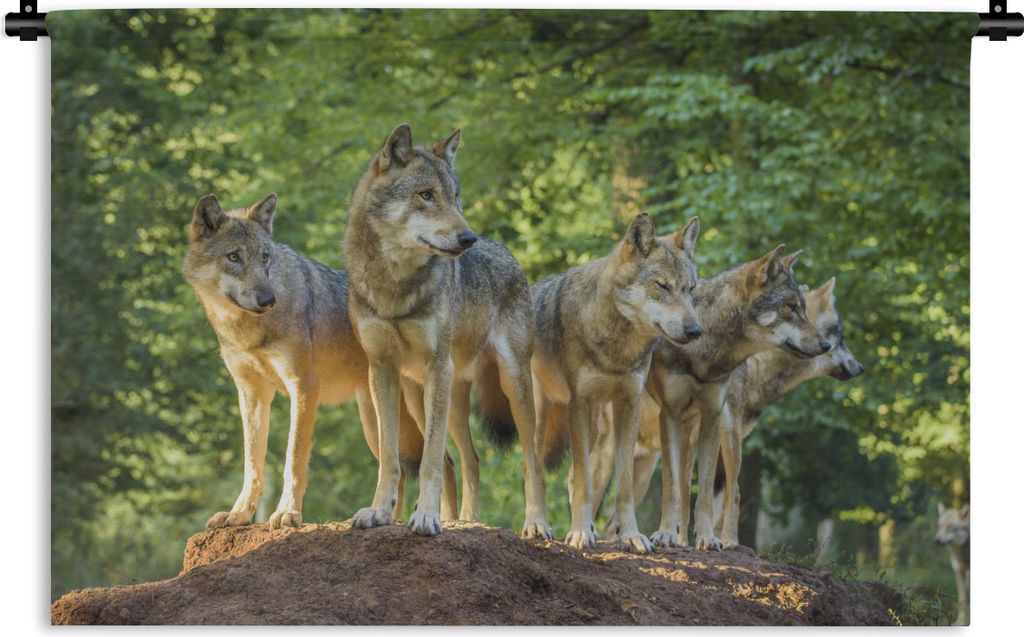 MuchoWow Wandteppich Wandbehang Wolf - Braun - Wald 60x40 cm Tapisserie Dekoration Wandtuch - Wanddekorationen