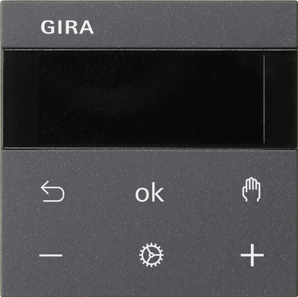 Gira RTR Display 539328 anthracite : fini les factures de chauffage élevées
