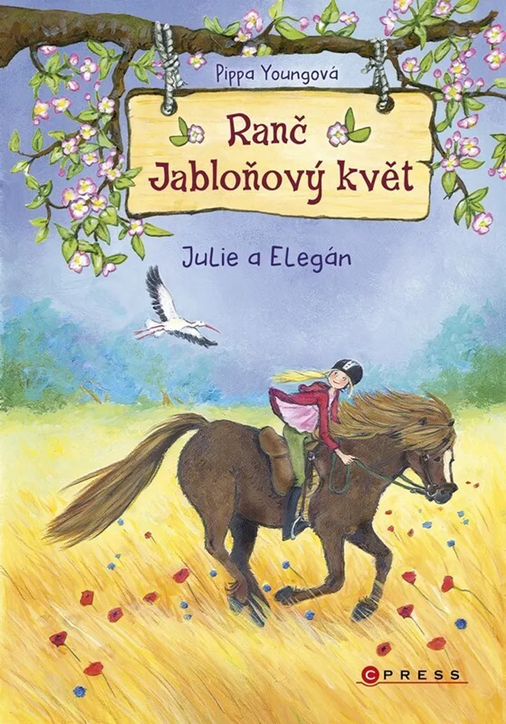 Livre Julie a Elegán Pippa Young pour faire lire les ados de 10 ans
