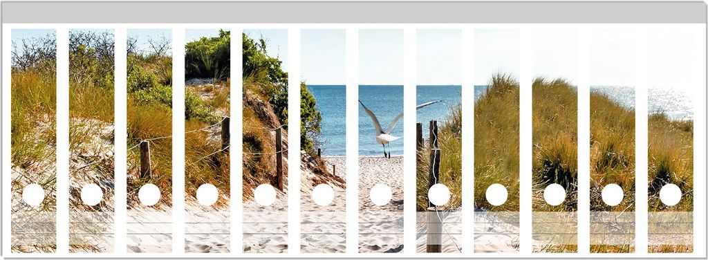 Wallario Ordnerrücken Sticker, selbstklebend für breite Ordner, 12 Stück, Motiv Möwen auf dem Weg zum Strand
