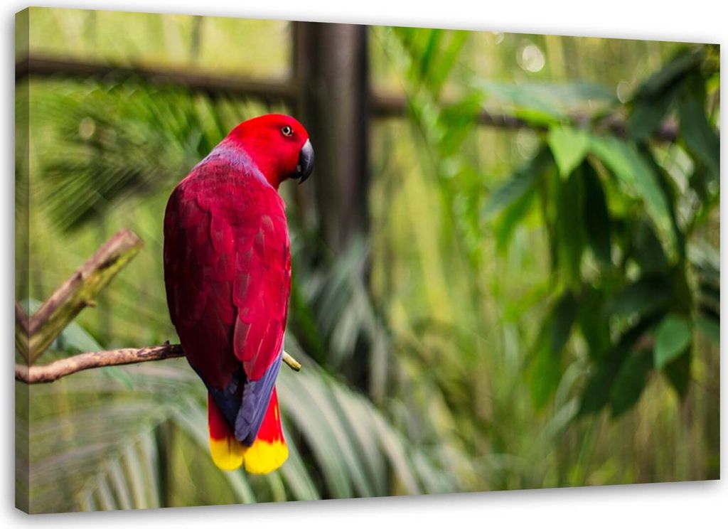Leinwandbild papagei im paradies 120x80 cm Feeby rosa wandbild bereit zum aufhängen