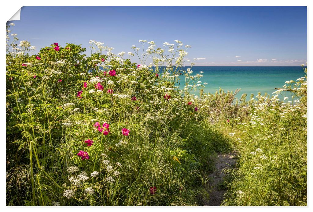ARTland Poster Frühling an der Küste in Ahrenshoop Größe: 60x40 cm