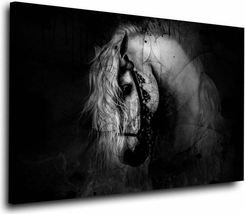 Weißes Pferd Black Tier Wandbild Leinwandbild Deko Kunst XL: 120x80x2cm