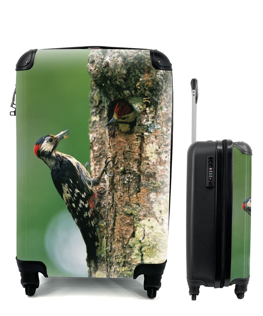 MuchoWow Koffer Handgepäck Trolley Rollkoffer Kleine Reisekoffer mit 4 Rollen - Ein Buntspecht in seinem Nest in Japan - Cabin Size < 55x40x23 c...