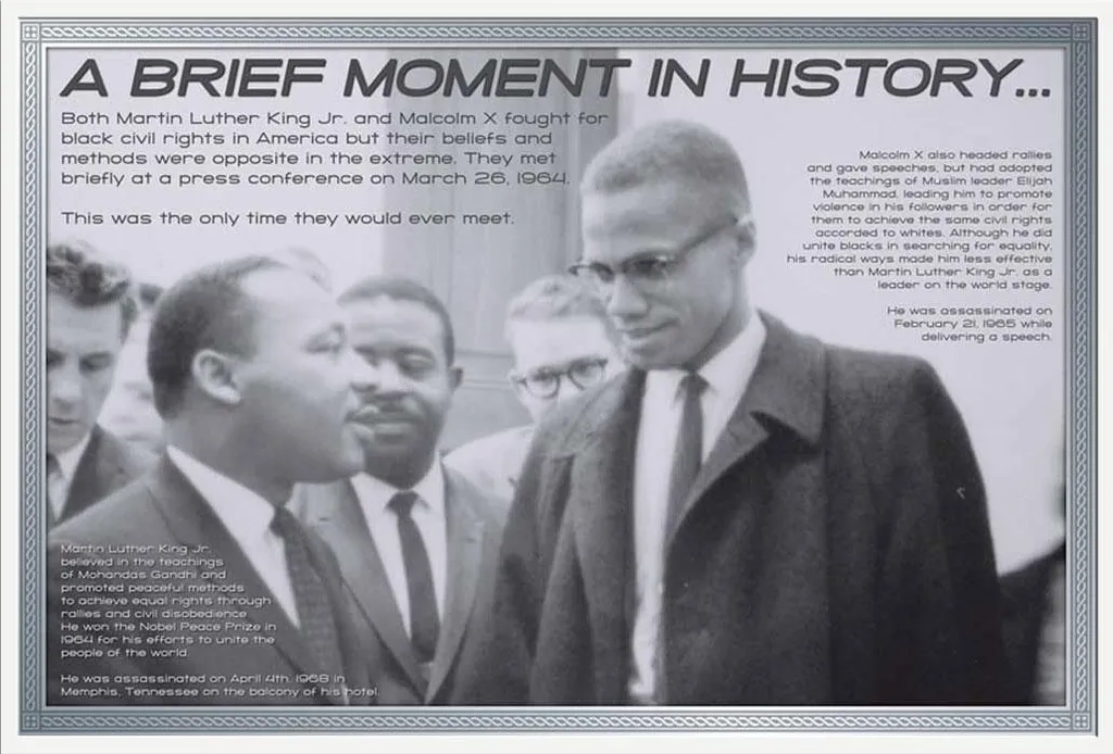 Grand Tableau MLK et Malcolm X Cadre Shinsuke Blanc et Vitre Acrylique